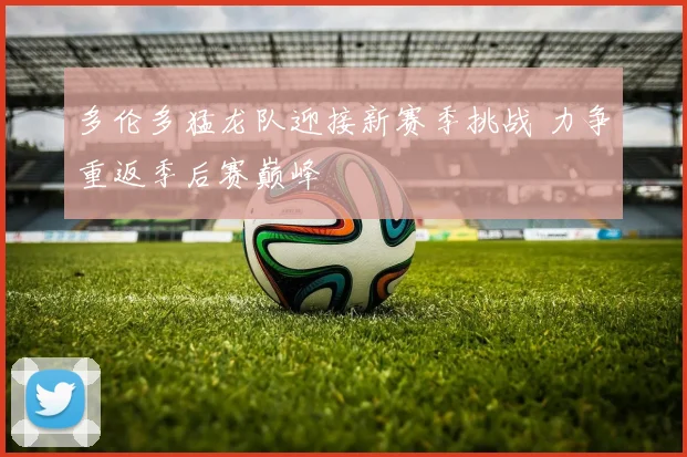 多伦多猛龙队迎接新赛季挑战 力争重返季后赛巅峰