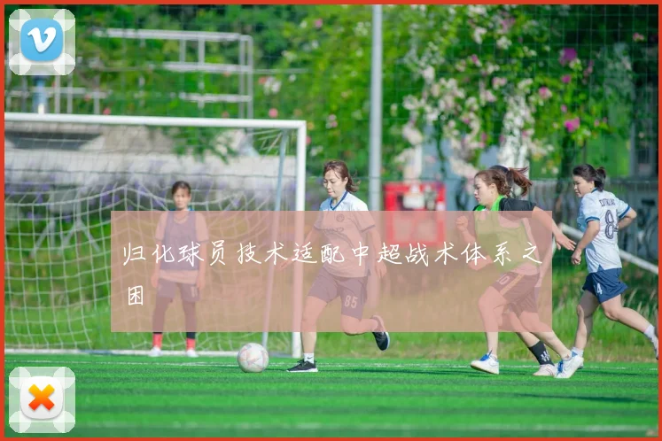归化球员技术适配中超战术体系之困