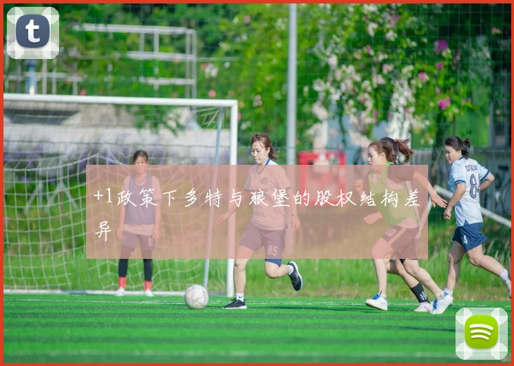 +1政策下多特与狼堡的股权结构差异