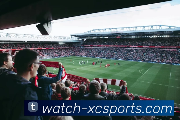 杏彩平台生态图