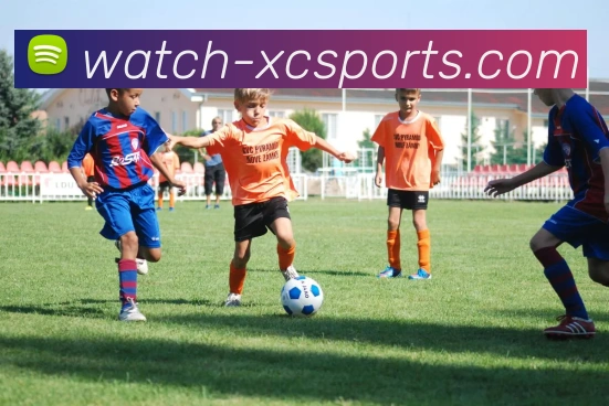 杏彩APP 体育赛事宣传图